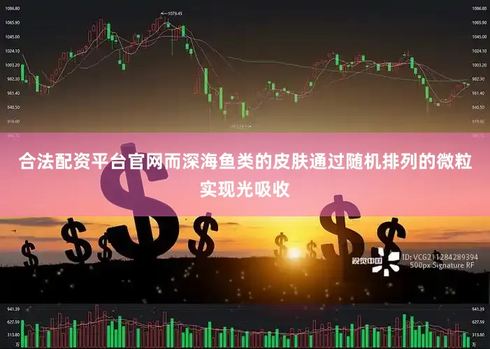 合法配资平台官网而深海鱼类的皮肤通过随机排列的微粒实现光吸收