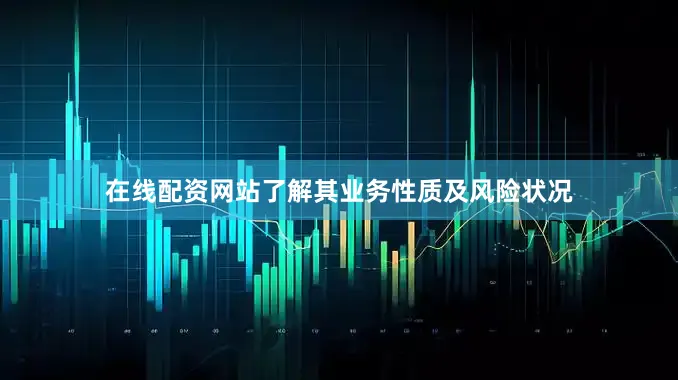 在线配资网站了解其业务性质及风险状况