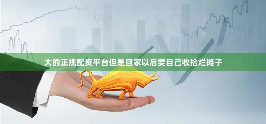 大的正规配资平台但是回家以后要自己收拾烂摊子